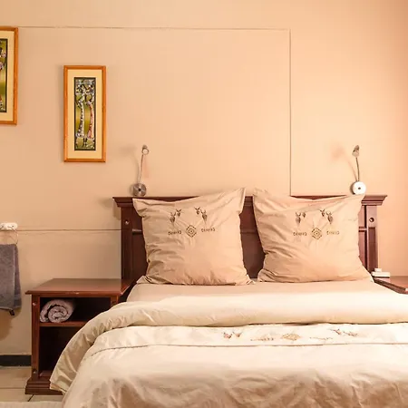 Chameleon Backpackers & Guesthouse-2